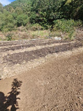 낙엽교목류21691님의 자유주제 · 자유게시판 작성글 사진