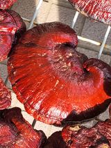 팜모닝 · 게시글 이미지