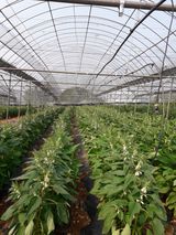 팜모닝 자유주제·자유게시판 게시글 이미지