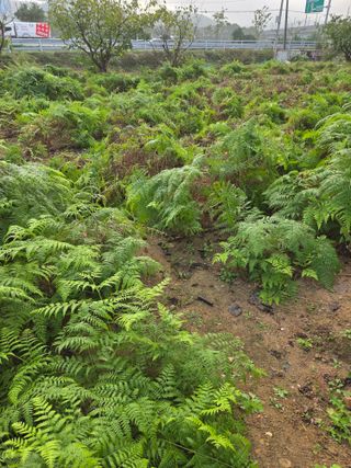 매미농장님의 자유주제 · 자유게시판 작성글 사진