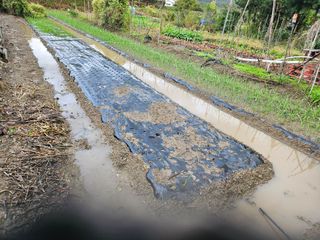 상추10383님의 자유주제 · 자유게시판 작성글 사진