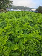 팜모닝 자유주제·자유게시판 게시글 이미지