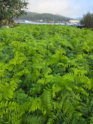 매미농장님의 자유주제 · 자유게시판 작성글 사진