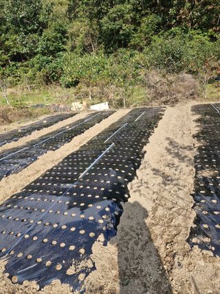 낙엽교목류21691님의 자유주제 · 자유게시판 작성글 사진