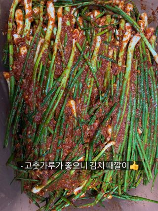 호동댁님의 자유주제 · 자유게시판 작성글 사진