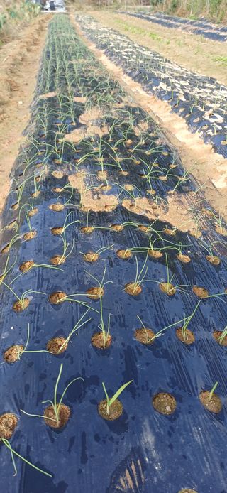 이강재님의 자유주제 · 자유게시판 작성글 사진