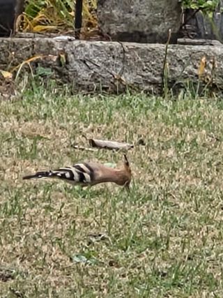 최동수님의 자유주제 · 사진전 작성글 사진