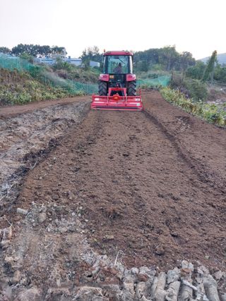 정금천님의 자유주제 · 자유게시판 작성글 사진