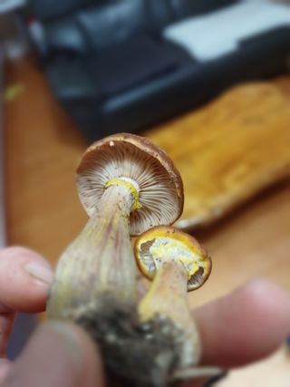 박해복님의 자유주제 · 자유게시판 작성글 사진