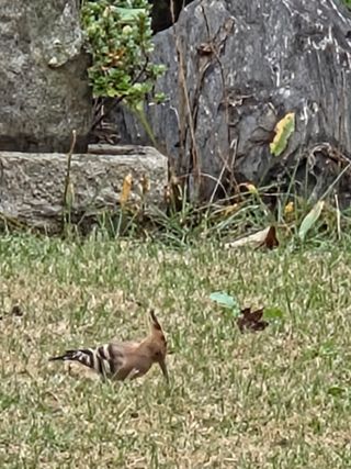 최동수님의 자유주제 · 사진전 작성글 사진