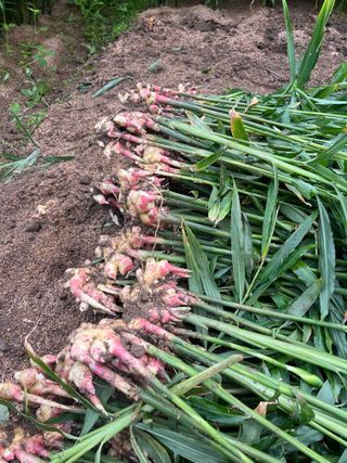 김재우님의 작성글 사진