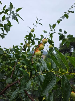 최동수님의 자유주제 · 사진전 작성글 사진