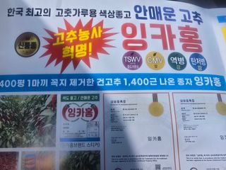 박수열님의 자유주제 · 자유게시판 작성글 사진