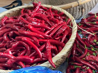 호동댁님의 자유주제 · 자유게시판 작성글 사진