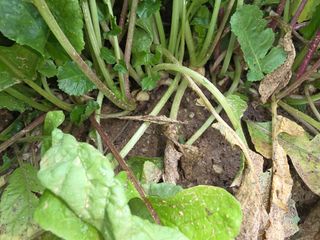 최병동님의 자유주제 · 자유게시판 작성글 사진