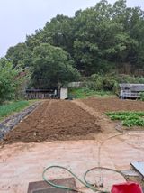 팜모닝 자유주제·자유게시판 게시글 이미지