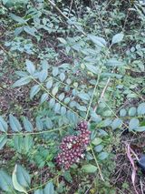 팜모닝 자유주제·자유게시판 게시글 이미지