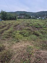 팜모닝 자유주제·자유게시판 게시글 이미지