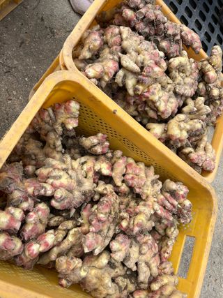 김재우님의 작성글 사진