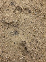 텃밭입문님의 농사, 무엇이든 물어보세요!·참여글 작성글 사진