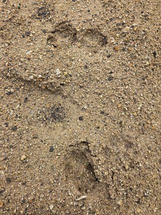 텃밭입문님의 농사, 무엇이든 물어보세요! · 참여글 작성글 사진