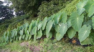 정보센터님의 작성글 사진