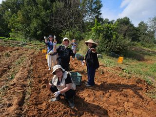 김황기님의 자유주제 · 자유게시판 작성글 사진