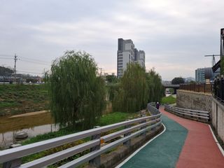 MSG0074님의 자유주제 · 자유게시판 작성글 사진