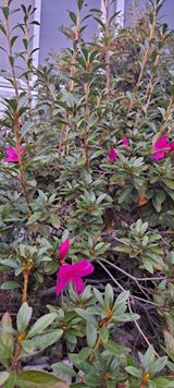 팜모닝 자유주제·자유게시판 게시글 이미지