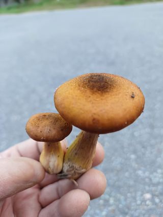 박해복님의 자유주제 · 자유게시판 작성글 사진