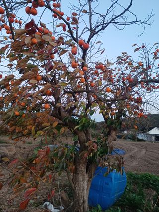 이정민님의 자유주제 · 자유게시판 작성글 사진