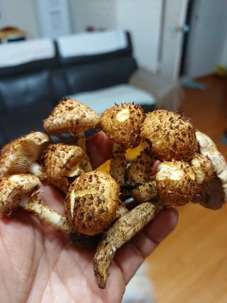 박해복님의 자유주제 · 자유게시판 작성글 사진