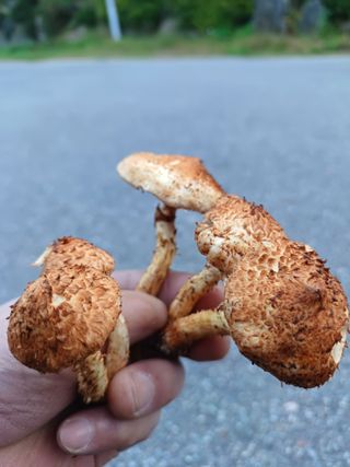 박해복님의 자유주제 · 자유게시판 작성글 사진