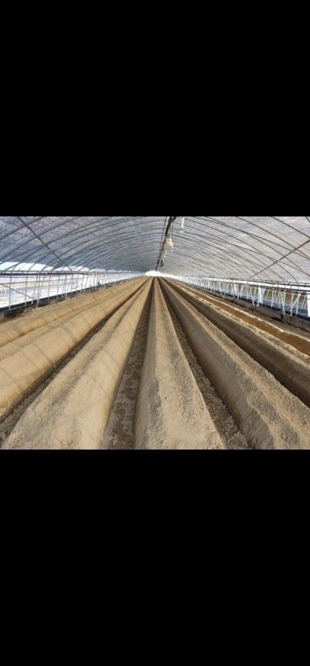 일개미(4454)님의 장터 판매 상품 [아세아 AVR-650베토기] 첨부 사진