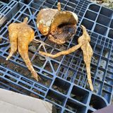 팜모닝 자유주제·자유게시판 게시글 이미지