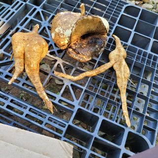 이창화님의 자유주제 · 자유게시판 작성글 사진