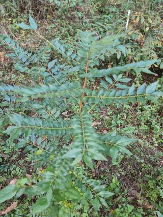 박현욱님의 자유주제 · 자유게시판 작성글 사진