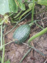 팜모닝 자유주제·자유게시판 게시글 이미지