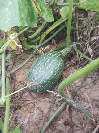 반영숙님의 자유주제 · 자유게시판 작성글 사진