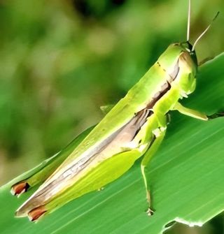 MSG0074님의 자유주제 · 자유게시판 작성글 사진