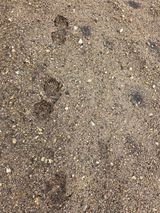 팜모닝 농사, 무엇이든 물어보세요!·참여글 게시글 이미지