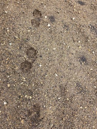 텃밭입문님의 농사, 무엇이든 물어보세요! · 참여글 작성글 사진