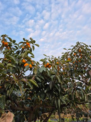 이정민님의 자유주제 · 자유게시판 작성글 사진