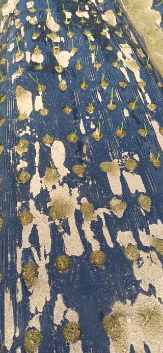 이강재님의 자유주제 · 자유게시판 작성글 사진