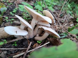 박정미님의 자유주제 · 자유게시판 작성글 사진