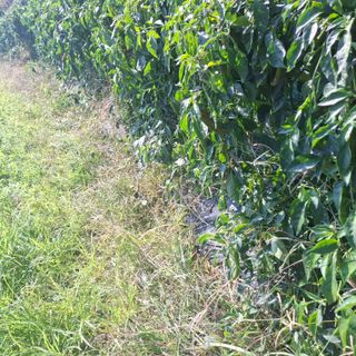 오영도님의 자유주제 · 자유게시판 작성글 사진