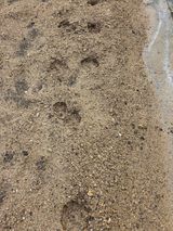 텃밭입문님의 농사, 무엇이든 물어보세요!·참여글 작성글 사진