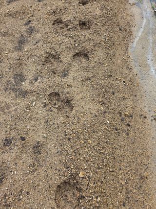 텃밭입문님의 농사, 무엇이든 물어보세요! · 참여글 작성글 사진