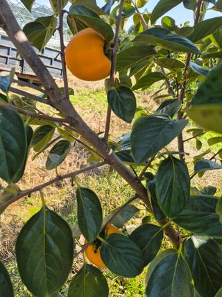이정민님의 자유주제 · 자유게시판 작성글 사진