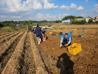 김황기님의 자유주제 · 자유게시판 작성글 사진